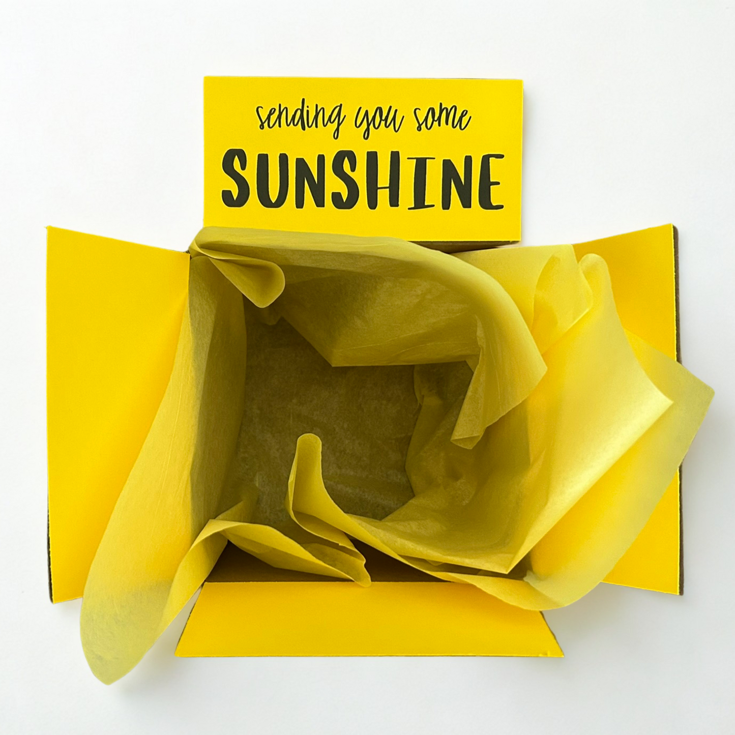 Sunshine Box