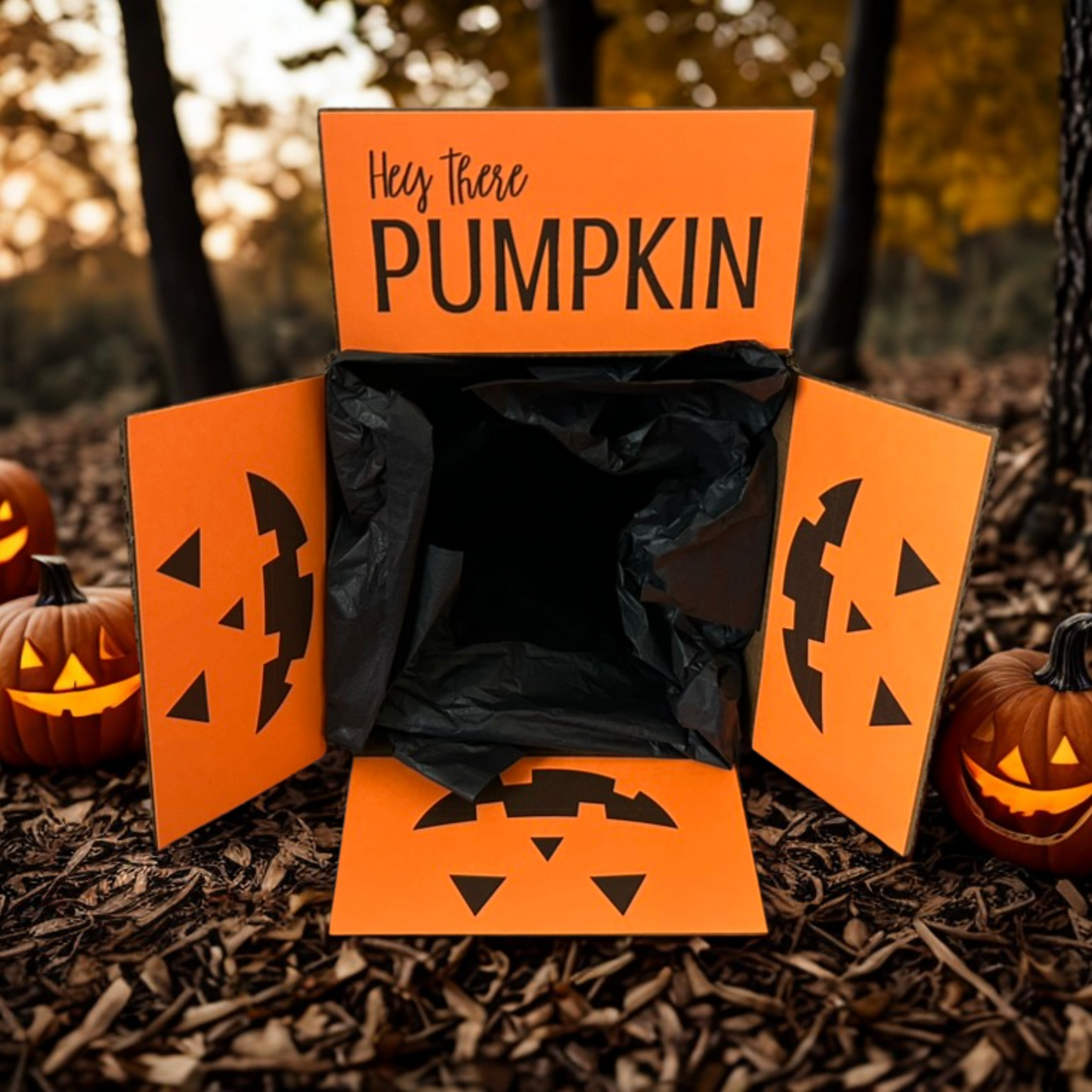 Hey There Pumpkin Box