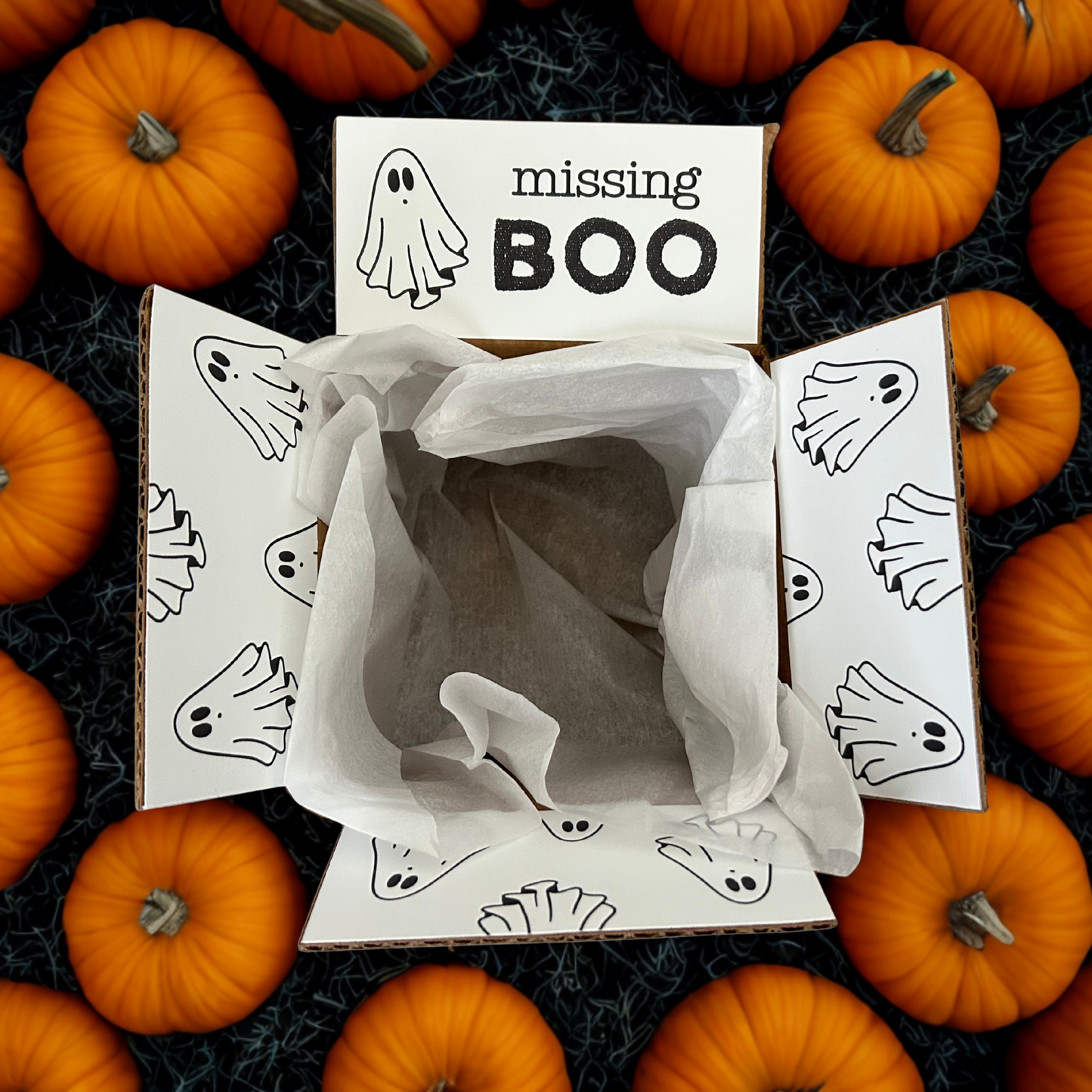 Missing Boo Box