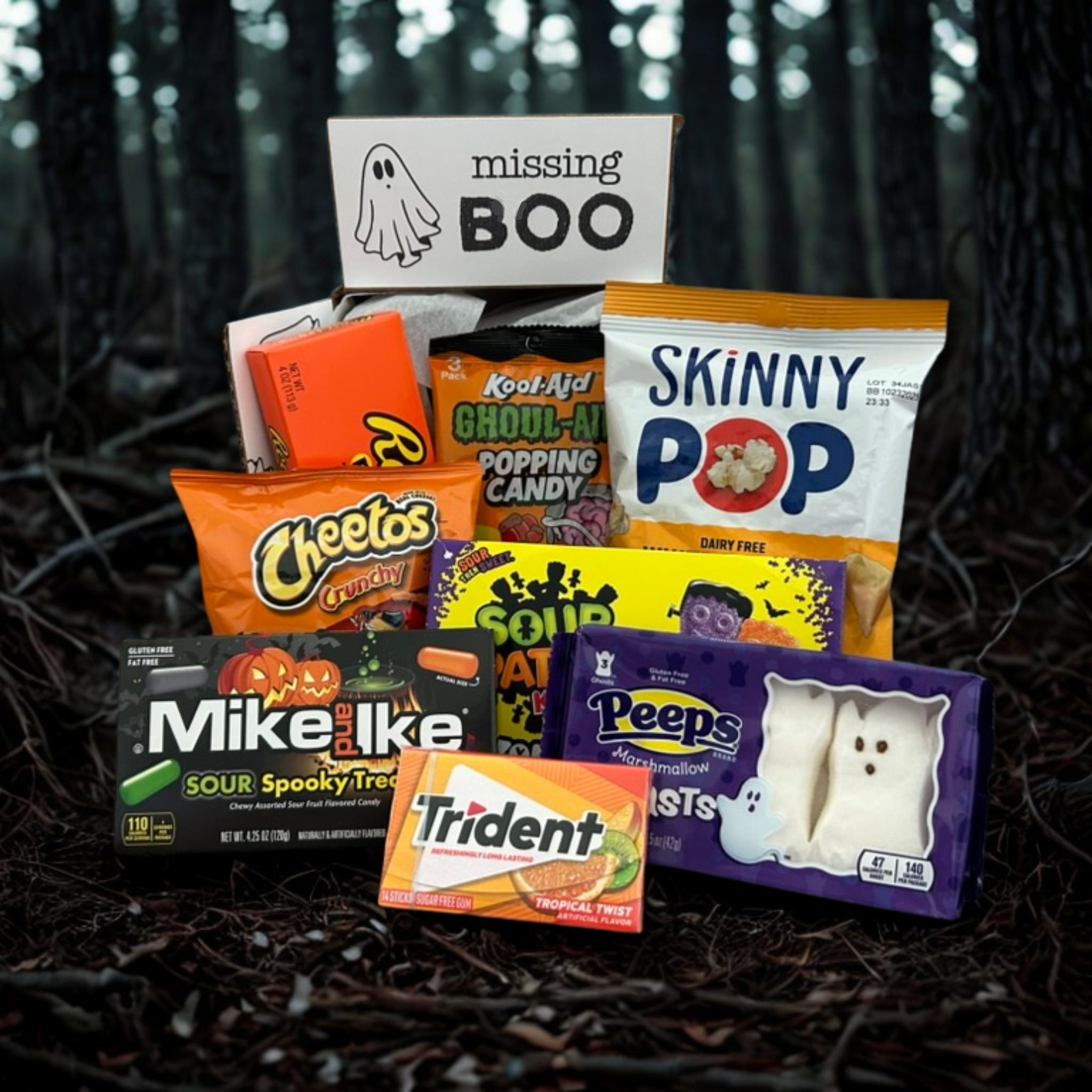 Missing Boo Box – Crafty Chimpanzee